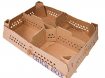 Chick boxes